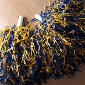 Cheerleading pom poms